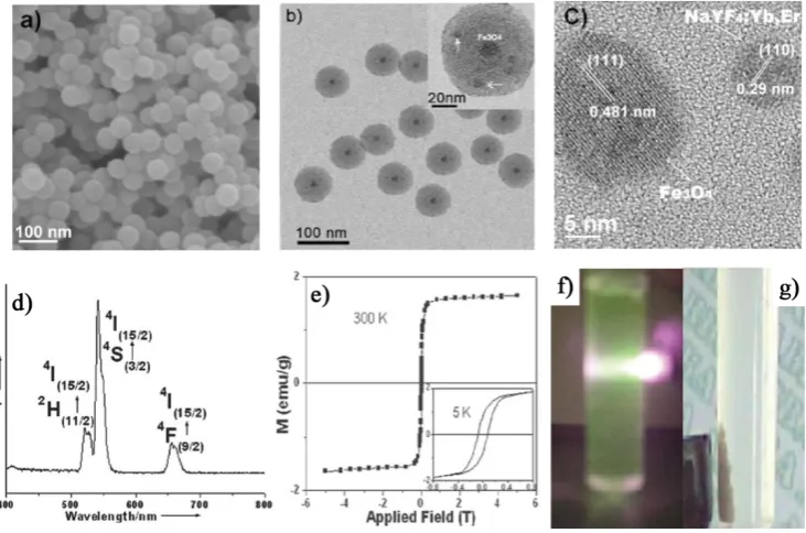 Figure 3. FE-SEM (a), TEM (b) and HRTEM (c) images of silica nanoparticles encapsulating UCNPs and SPM nanocrystals