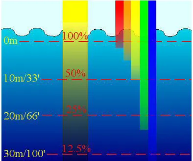 Fig 1: Color appearance in underwater 