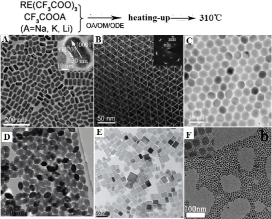 Figure 2. Representative shapes of various RE fluoride nanomaterials by heating-up process in thermal decomposition reaction