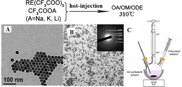 Figure 3. (A) RE-doped cubic NaYF4 nanoparticles [59], (B) RE-doped hexagonal NaYF4 nanoparticles [42], (C) the hot-injection reaction equipment to prepare nanoparticles in (A) and (B)