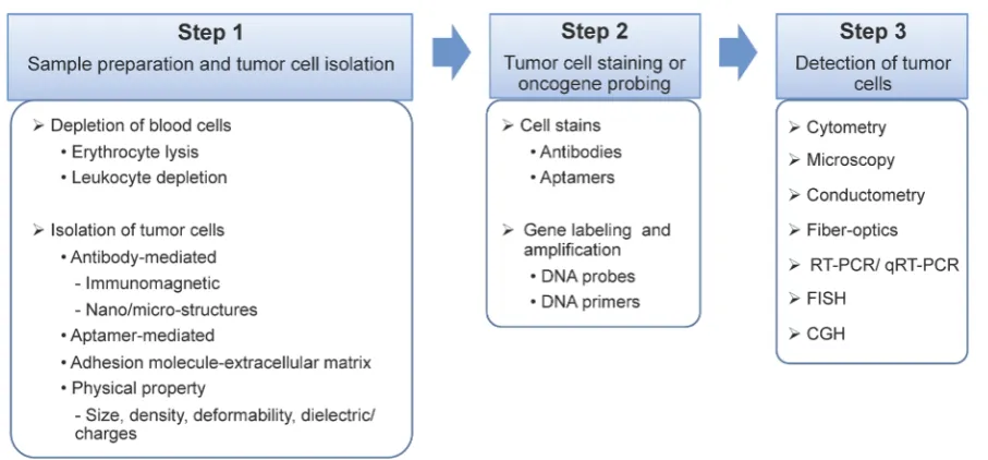 Figure 2. Schematic illustration of the three major steps of a CTC assay. Step 1. Sample preparation and tumor cell isolation: blood samples may be pre-treated to remove the majority of the erythrocytes and/or leukocytes, and therefore, rare CTCs can be de