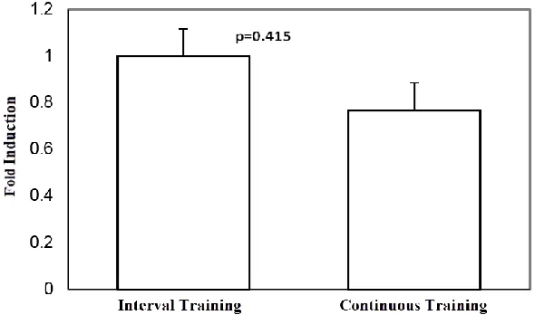Figure 2: Desnutrin mRNA multifold variation ratio of the quadriceps femoris  muscle tissue in the training group compared to the control group