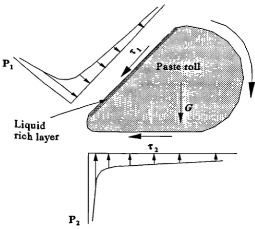 Figure 3.5 Forces acting on paste roll.