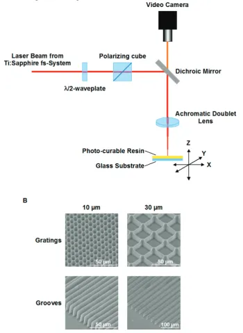 Fig 1. Fabrication of microstructured e-Shell substrates using 2PP. A. Fabrication setup