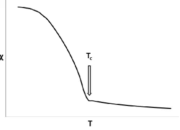 Figure 1.1: Qualitative behaviour for χ of a paramagnet as a function of temperature. 