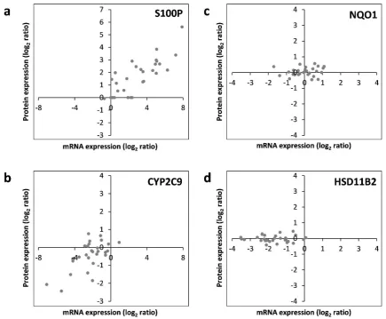 Figure 5:  RNA-protein correlation of different hepatotoxicity markers assayed in HepaRG cells treated with 30 pesticidal active compounds for 24 h