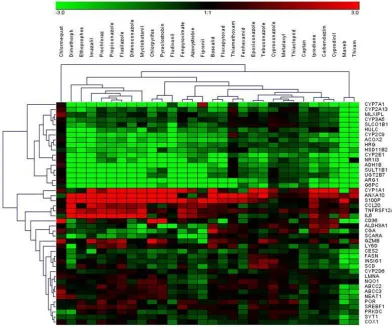 Figure 3. Selected protein level data are de-