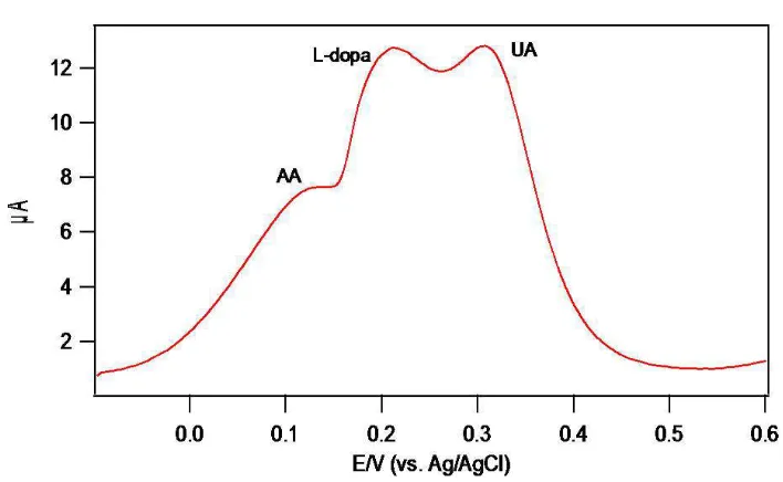 Figure 12 DPV of 1mM L-dopa, AA and UA in PEDOT-PSS GCE 