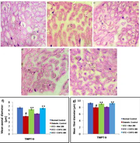 Figure 7: Light microscopic representative images of sciatic nerve tissue (HE stained sections, 100X, immersion TWPT: Two Weeks Post Treatment, ® = observation recorded four weeks after induction of diabetes