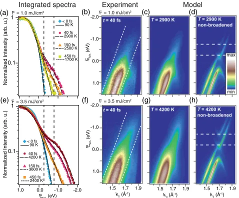 FIG. 2 (color online).Disentangling the dynamics in the bilayerSimulated data at the given temperature taking the experimentalresolution into account