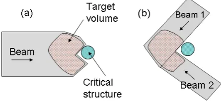 Fig 1. The comparison of dose-depth profiles for photon and proton therapies. 
