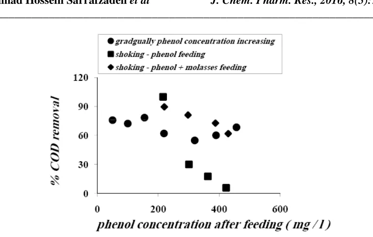 Figure 10- % Phenol Removal Comparison: when concentration of phenol gradually increases with when a shock is imposed on the  sludge 