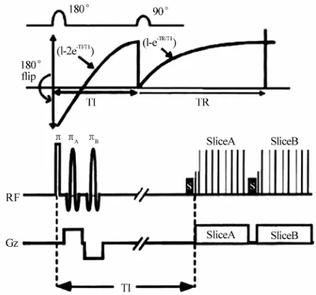 Figure 1. The figure illustrates a series of radiofrequency pulses and a synchronized series of magnetic gradient pulses for phase cycled evolution period 180° flip angle refocusing pulse