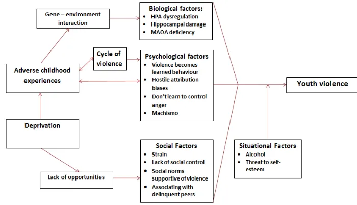 Figure 2.3 Logic model illustrating the role of deprivation and adverse childhood experiences in the development of violence 