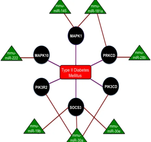 Figure 4: The interaction network of miRNAs in Type – 2 Diabetes mellitus with the triangular regions representing the miRNAs that nega-tively regulate the refined genes and the round regions representing the genes of the refined gene set