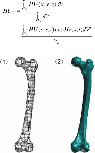 Figure 1. (1) The finite element mesh of femur (2) The geometrical model of femur. 
