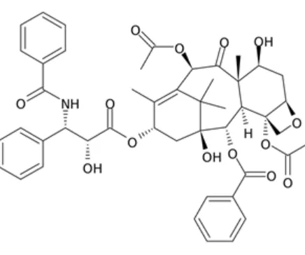 Figure 1. Chemical structure of Paclitaxel 