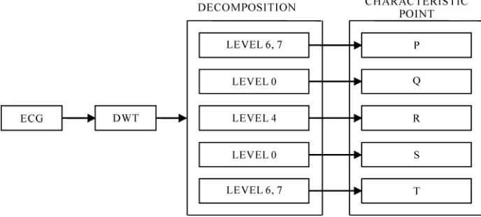 Figure 2. Characteristic points extraction from ECG signal at various decomposition levels.