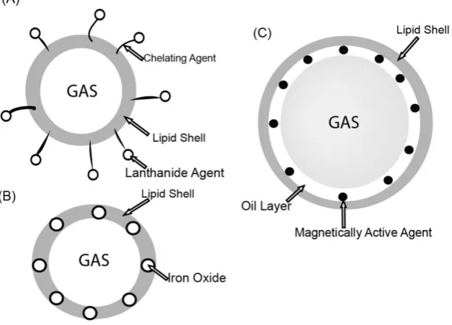 Figure 1. Schematic diagram of different magnetic microbubble constructs [45]. A. magnetic nanoparticles are coupled to the shell surface of the microbubble
