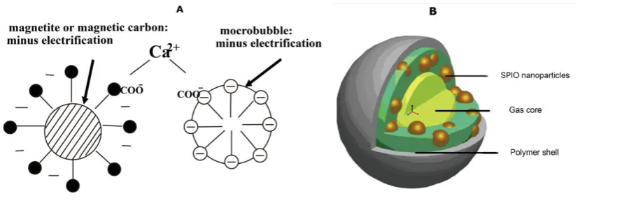 Figure 2. Schematics of two different magnetic microbubbles [25, 23] 