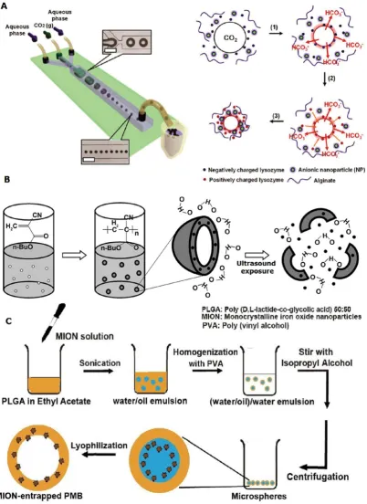 Figure 3. Schematic illustrations of three different procedures [13, 17, 27]. A: micro fluidic device: membrane materials, nanoparticle solution and the gas are pumped into the micro tubes to form magnetic microbubbles through electrostatic coupling; B: on