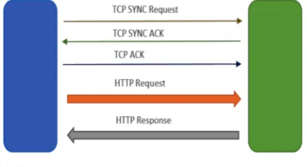 Fig. 2.1. The HTTP Protocol model