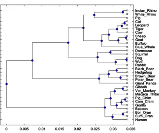 Figure 2. The phylogenetic tree of 31 mammalian mitochondrial genomes with UPGMA. 