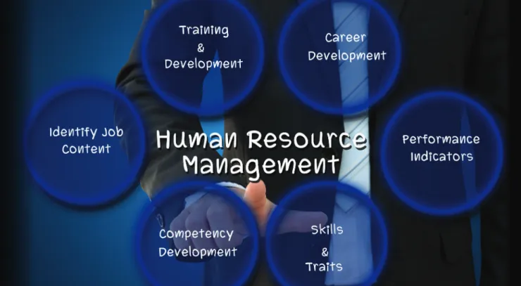 Figure 2: Major HR software based on delivery model