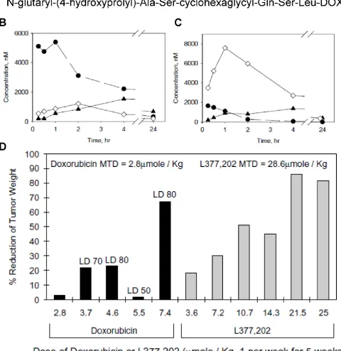 Fig. 3 (A) Chemical structure of L-377,202. Changes in concentrations of leucine–DOX and DOX in tumor tissue (B) and heart tissue (C)