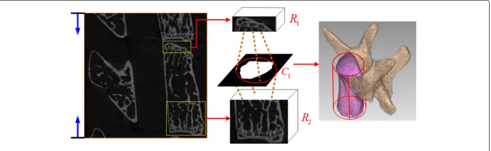 Fig. 3 The workflow of the proposed pre-processing