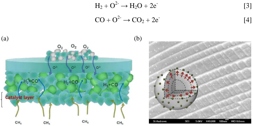 Figure 1. Schematic of (a) catalyst-layered anode supported cells and (b) the Ni  exsolution of LCNT with SEM image
