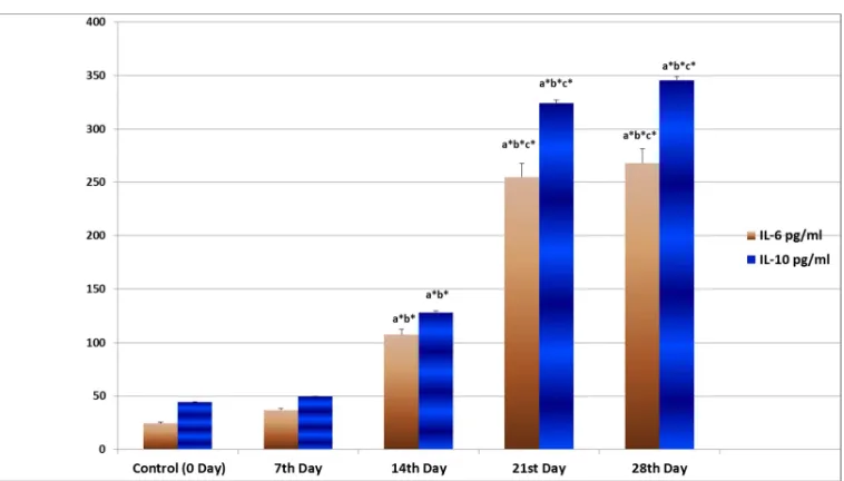 Figure 1 Time based effect of INH and RIF on IL-6 and IL-10 levels in experimental rats  