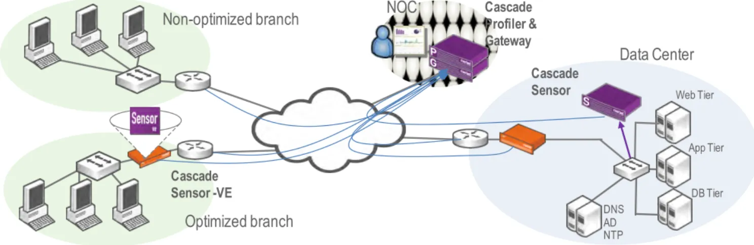 Figure  4:  The  Cascade  flow-­based  network  assessment  and  performance  management  solution
