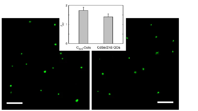 Figure 2. TEM (left) and AFM (right) images of the carbon dots (without ZnS doping) used in the optical imaging experiments