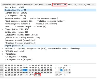 Fig. 2.2. Normal HTTP Get Request