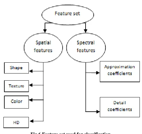 Fig.6 Feature set used for classification  