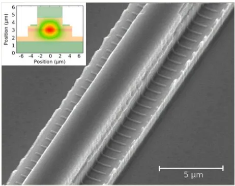 FIG. 1. Scanning electron microscope image of the double ridge structureafter patterning of the chromium grating