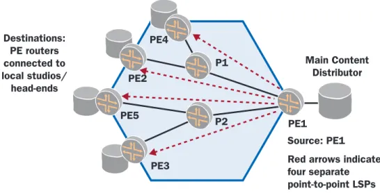 Figure 2: Point-to-point LSP