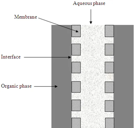 Fig. 1: Basic principle of separation in membrane contactors
