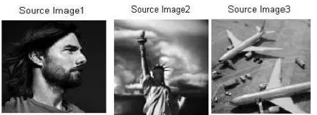 Figure 2 . These images were mixed using 3 × 3 random mixing matrix. The mixed images so 