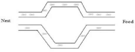 Fig. 3.1. Shortest path in distributed sub-paths