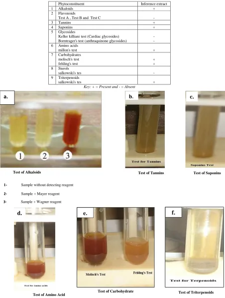 Table (1): The results of the phytochemical screening  