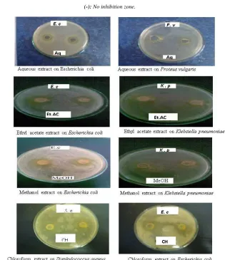 Fig. 4. The inhibition effects of the two extracts against the tested fungi 