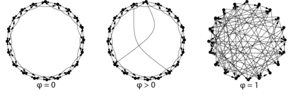 Figure 3.2: Directed ring lattice [2].