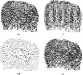 Fig 3. Fingerprint classification system 