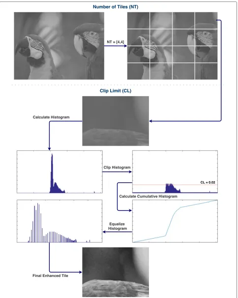 Fig. 1 Overview of CLAHE’s main parameters (CL and NT). Example with NT =[ 4, 4] and CL = 0.02