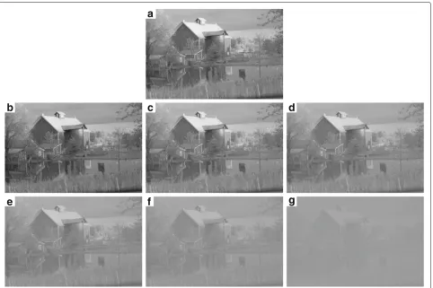 Fig. 3 Contrast distortions in dataset 2. Original image ((a), − 50% compression (b), 10% compression (c), 30% compression (d), 50% compressione), 70% compression (f), 90% compression (g)