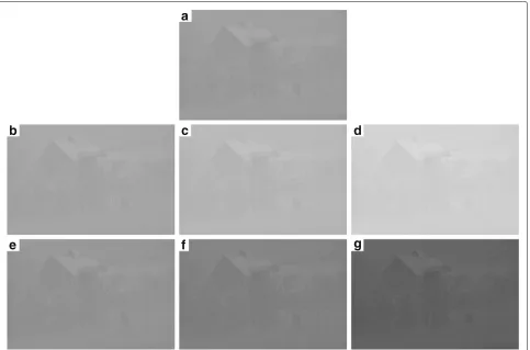 Fig. 4 Intensity shifts of histogram bins in dataset 2. Contrast distorted image with 90% compression (bins to right (a), 10 bins to right (b), 30 bins to right (c), 60d), 10 bins to left (e), 30 bins to left (f), 60 bins to left (g)