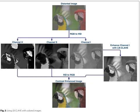 Fig. 5 Using LB-CLAHE with colored images