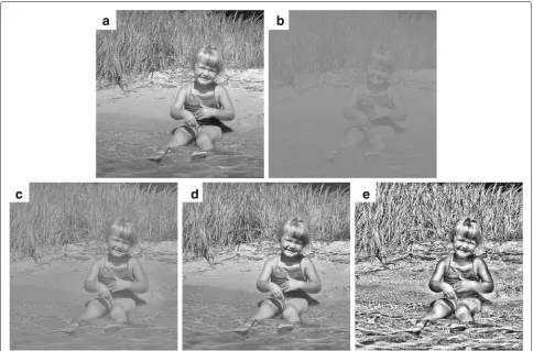 Fig. 6 Automatic labeling process to find best CLAHE hyperparameter pair. Original image (hyperparameters: CLhyperparameters: CLa)